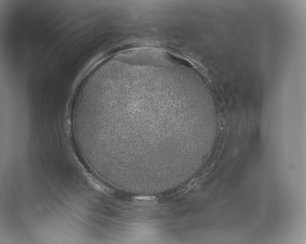 X0000073950053200609111700