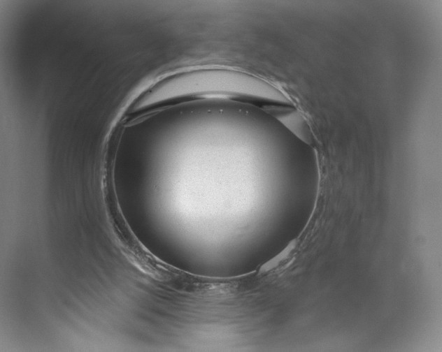 X0000073950056200609111701