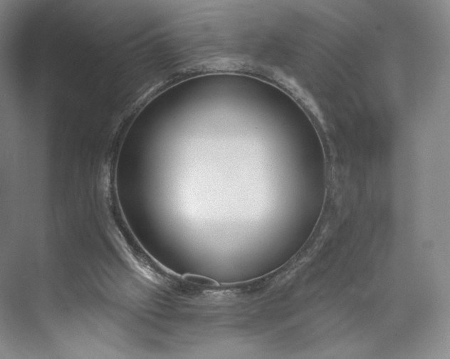 X0000073950057200609111701