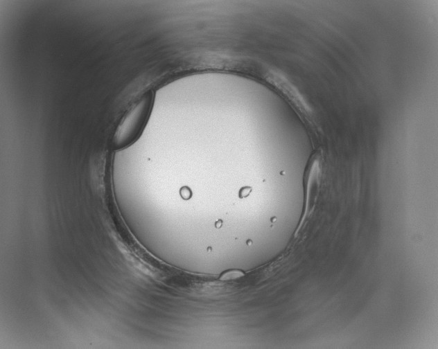 X0000073950058200609111701