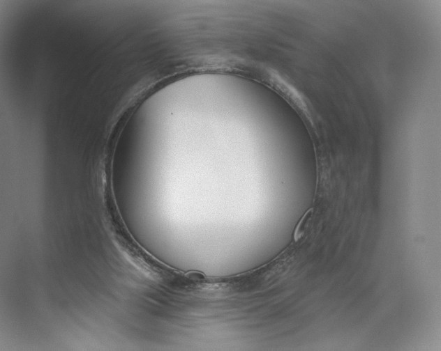 X0000073950059200609111701