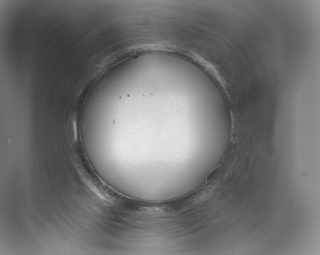 X0000073950061200609111701