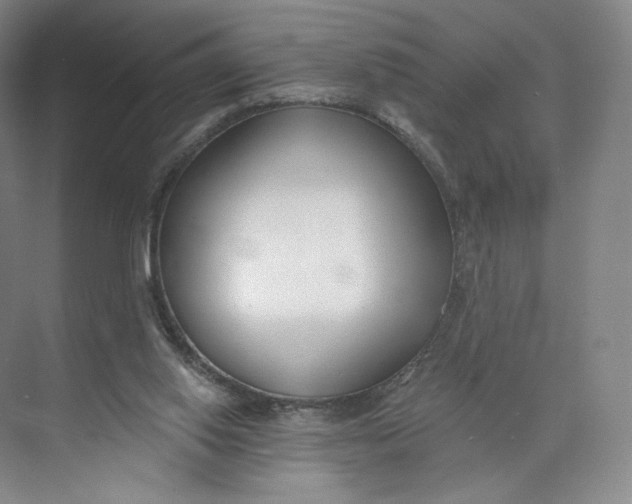 X0000073950062200609111701