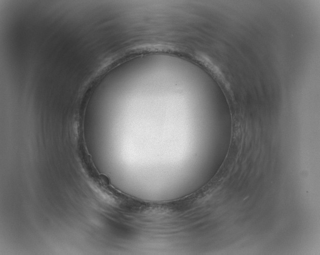 X0000073950063200609111701