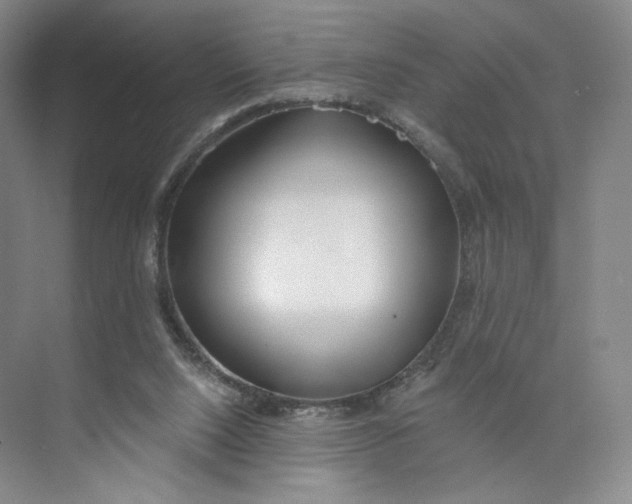 X0000073950064200609111701