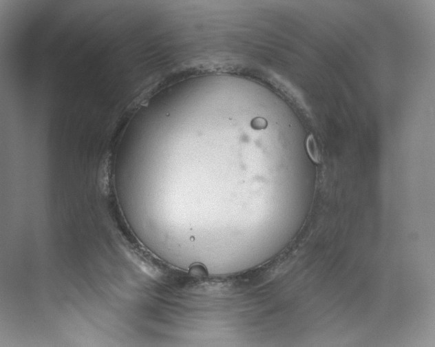 X0000073950065200609111701