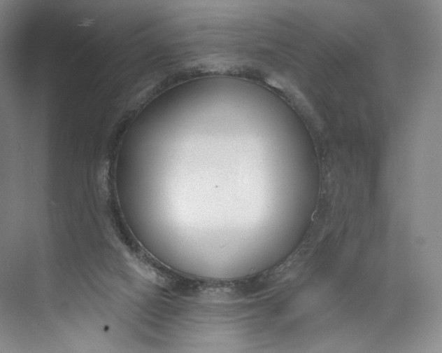 X0000073950066200609111701