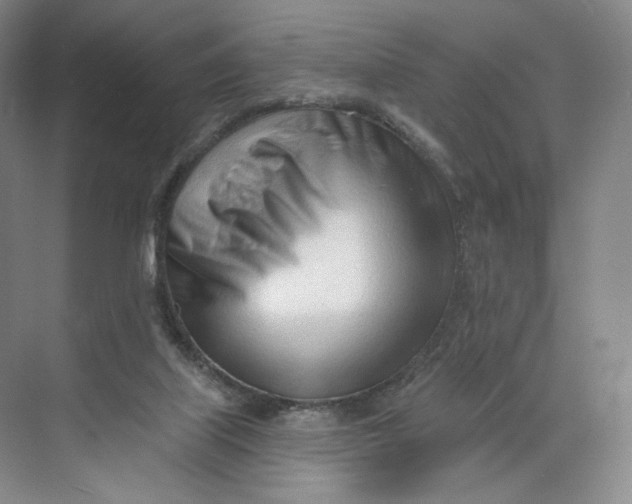 X0000073950067200609111701