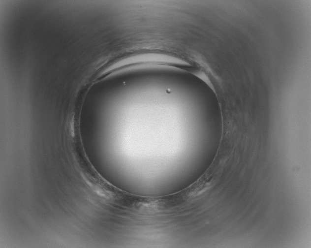 X0000073950068200609111701