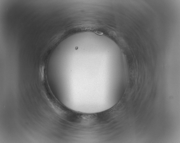 X0000073950070200609111701