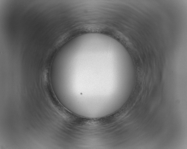 X0000073950071200609111701