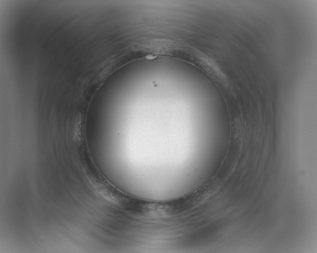 X0000073950073200609111701