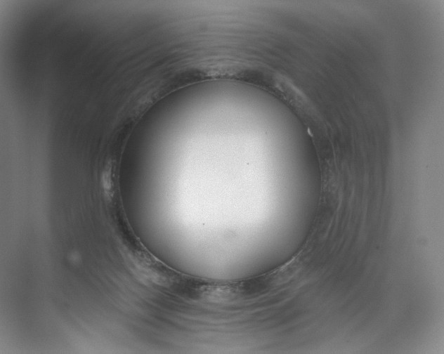 X0000073950074200609111701