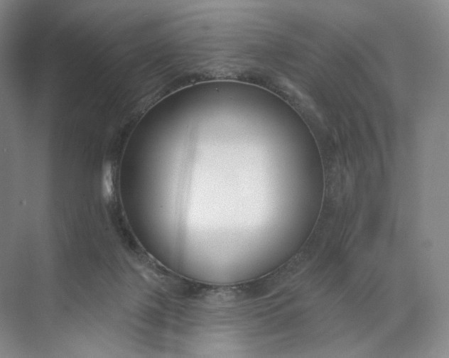 X0000073950075200609111701