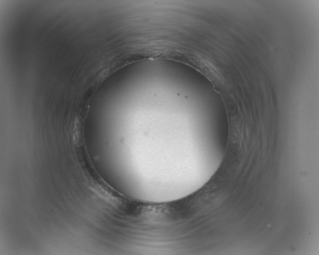 X0000073950077200609111701