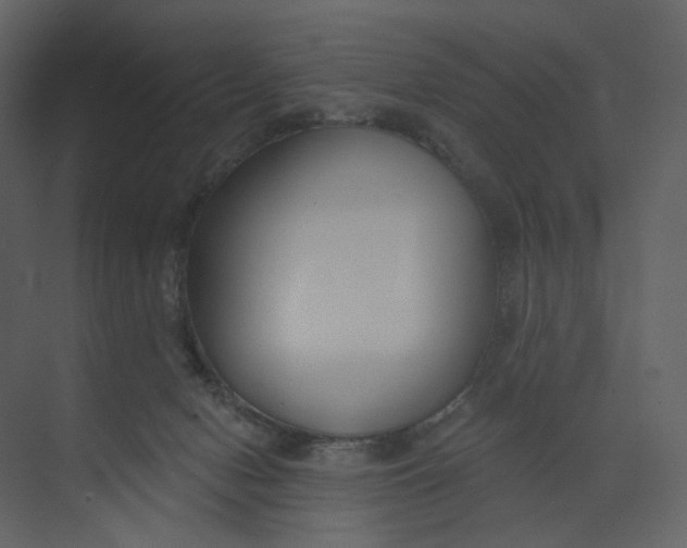 X0000073950078200609111701