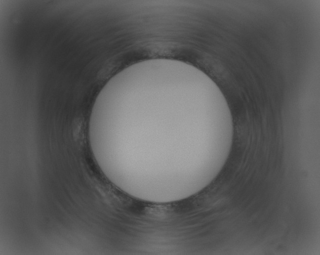 X0000073950079200609111701