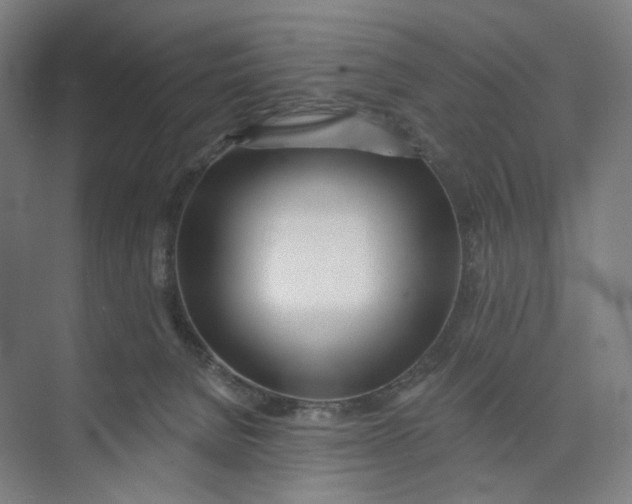 X0000073950080200609111701