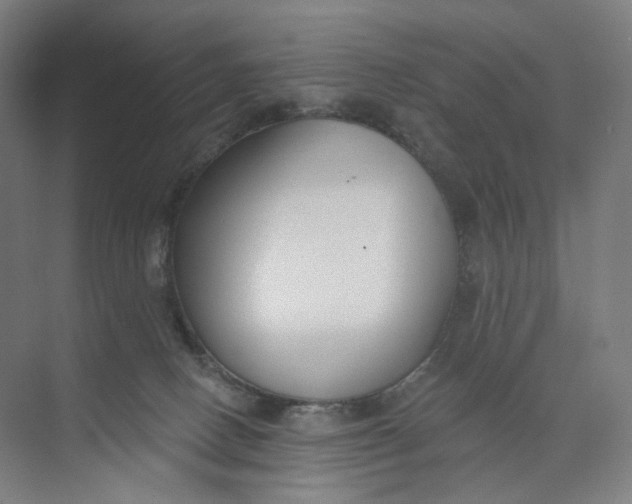 X0000073950082200609111701