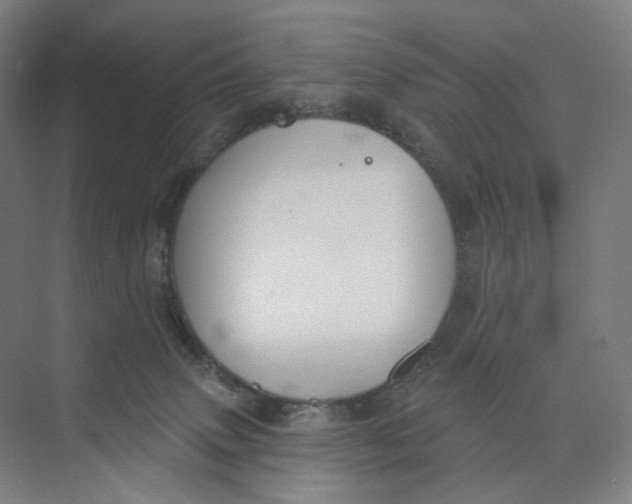 X0000073950083200609111701