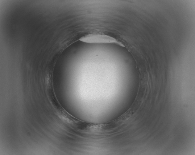 X0000073950084200609111701