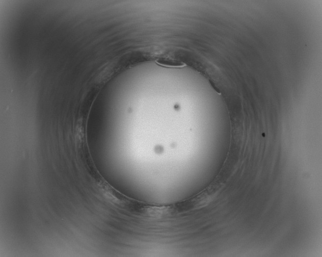 X0000073950085200609111701