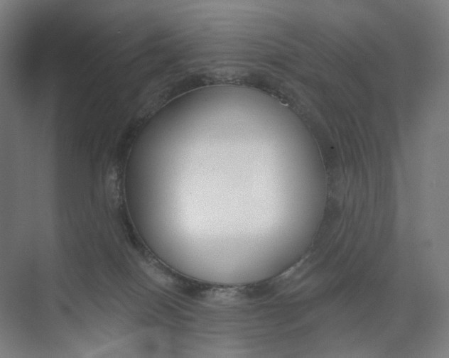 X0000073950086200609111701