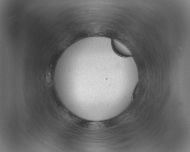 X0000073950087200609111701