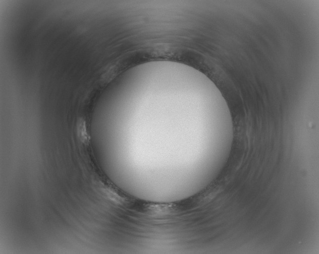 X0000073950089200609111701