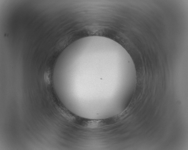 X0000073950090200609111701