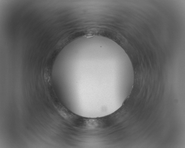 X0000073950091200609111701