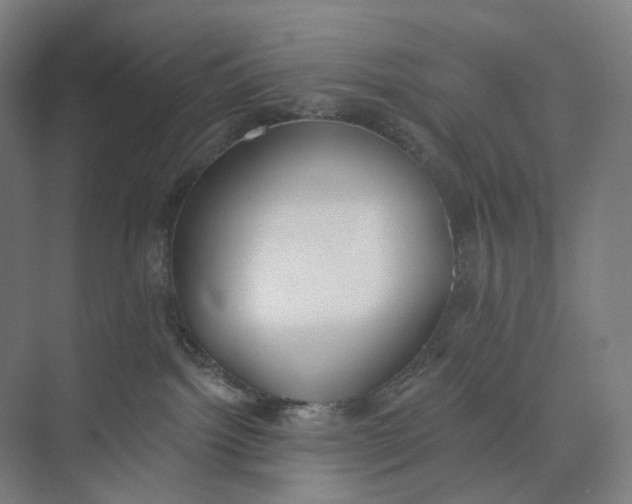 X0000073950092200609111701