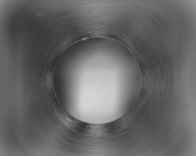 X0000073950093200609111701