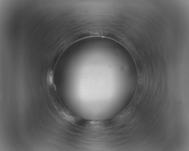 X0000073950095200609111701