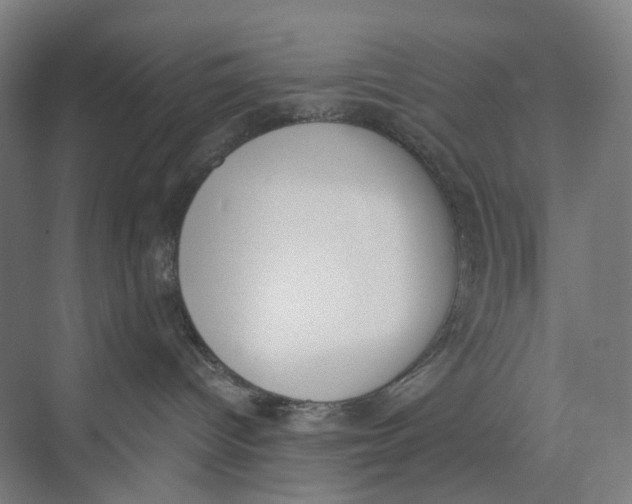 X0000073950096200609111701