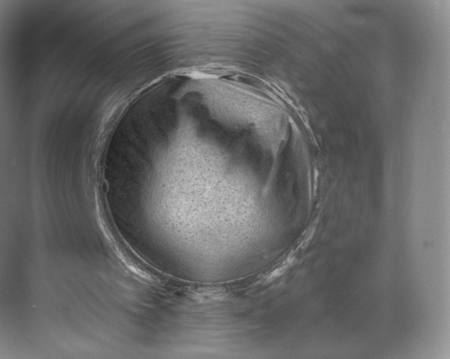 X0000073950097200609111700