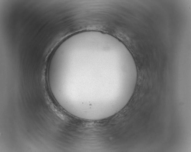 X0000073950098200609111700