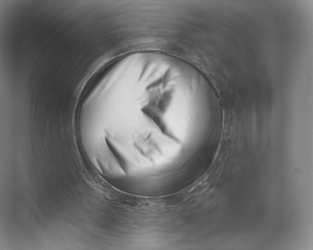 X0000073950099200609111700