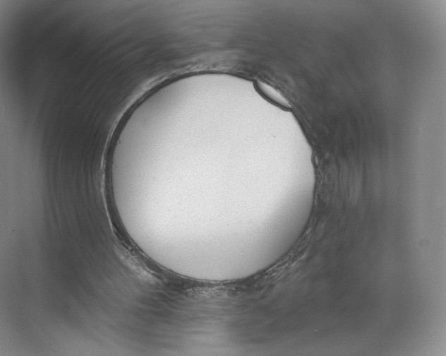 X0000073950100200609111700