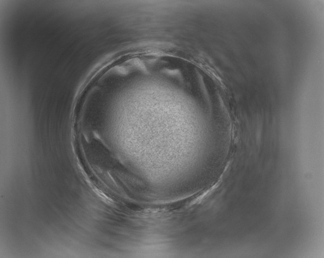 X0000073950101200609111700