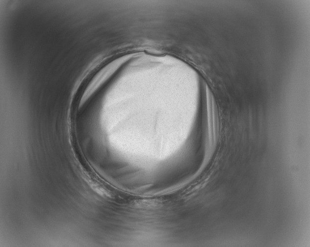 X0000073950102200609111700