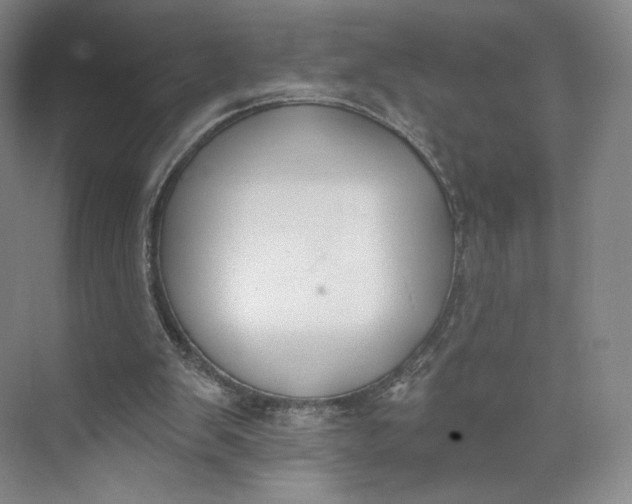 X0000073950103200609111700