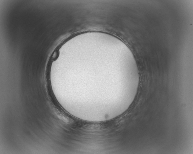 X0000073950104200609111700