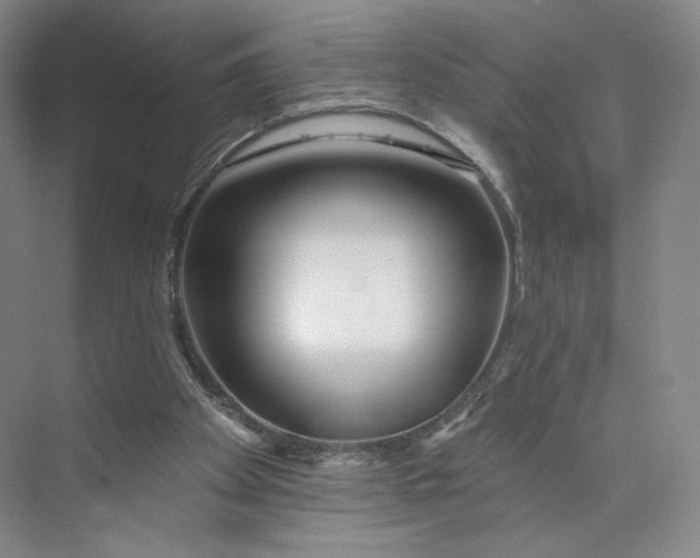 X0000073950105200609111700