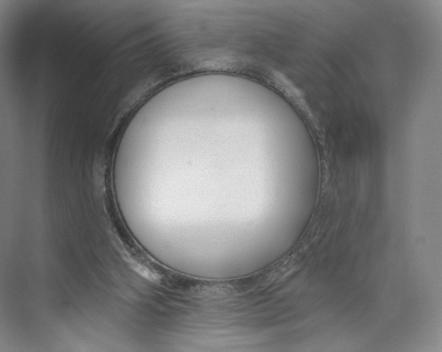 X0000073950106200609111700