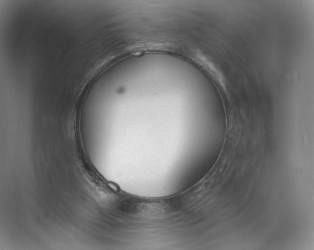 X0000073950107200609111700