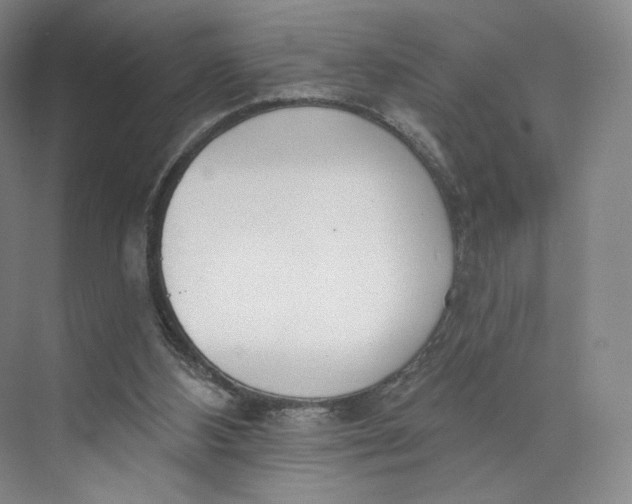 X0000073950108200609111700