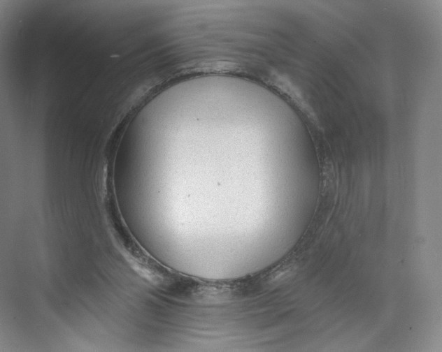 X0000073950110200609111700