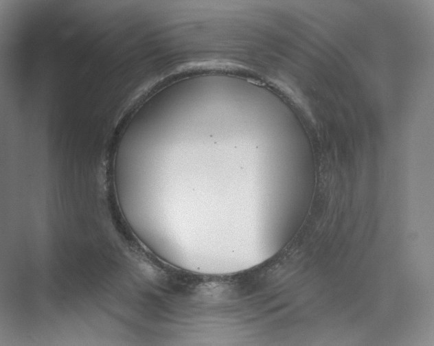 X0000073950111200609111700