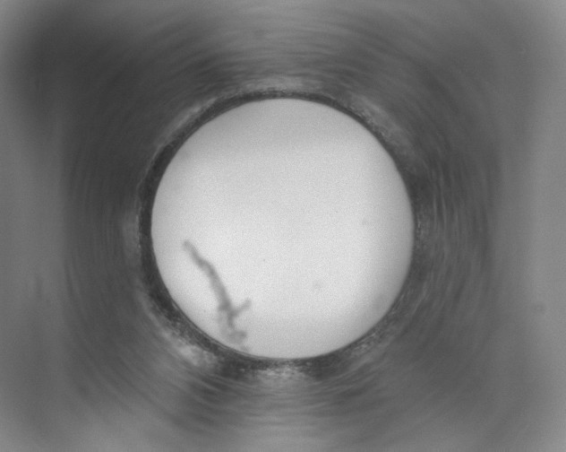 X0000073950112200609111700